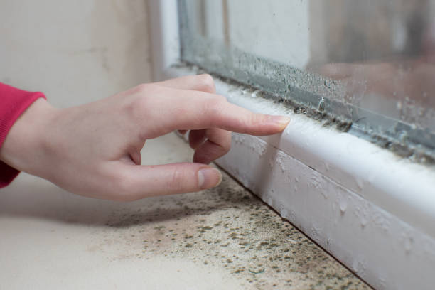 Best Air Quality Testing for Mold Spores  in Umatilla, OR
