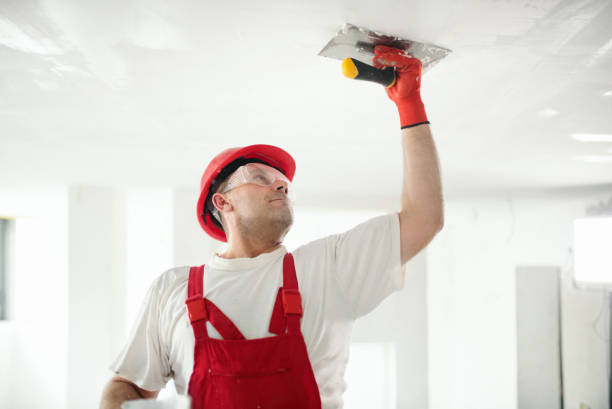 Best Attic Mold Removal  in Umatilla, OR
